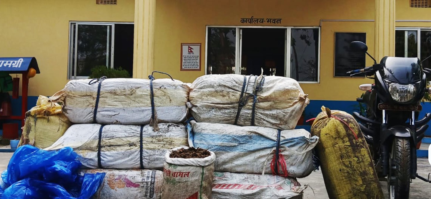 २ सय २५ किलोग्राम गाँजा सहित २ जना पक्राउ