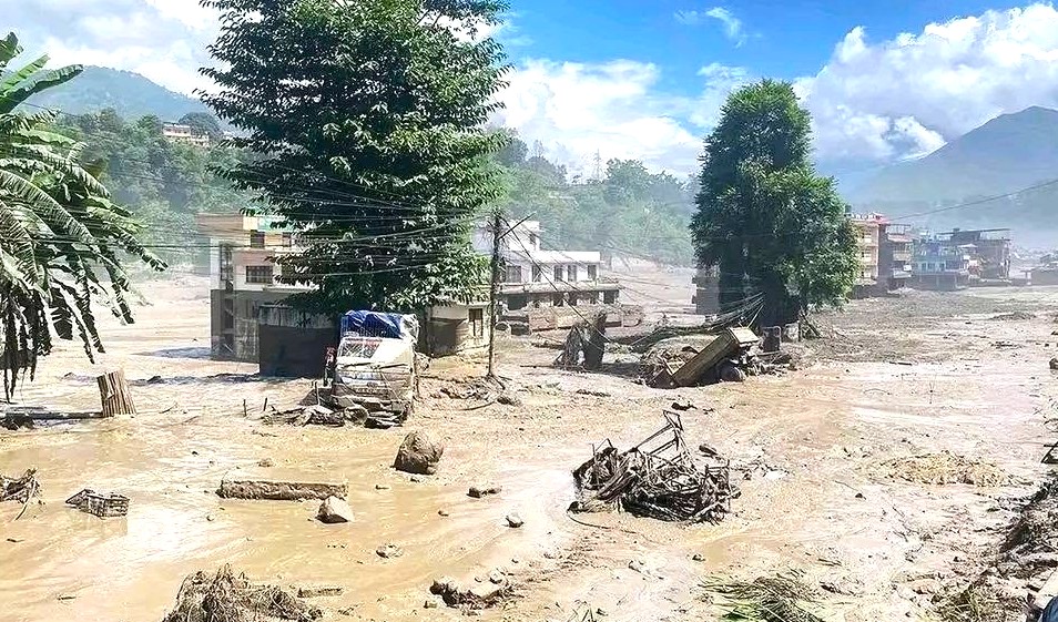 राष्ट्रिय विपद् जोखिम न्यूनीकरण तथा व्यवस्थापन प्राधिकरणका अनुसार मंगलबार बिहान ९ बजेसम्म विभिन्न जिल्लाबाट ९८७ जनाको शव फेला